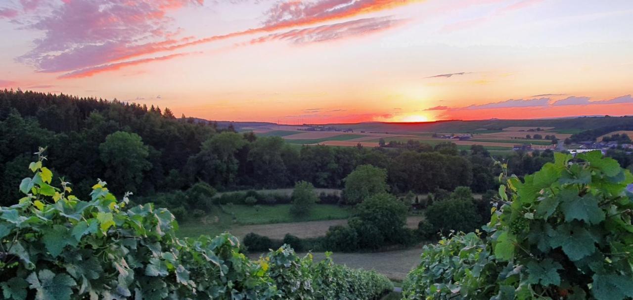 SchwaigernWeingut Will Und Wuerz Lemberger公寓 外观 照片